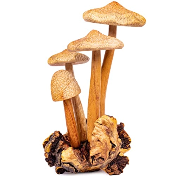 Curawood Wooden Mushrooms Sculpture for an Ornate Touch - Handcrafted 9" Mushroom Statue with Intricate Details - Authentic Garden Mushrooms Decorative Centerpiece - Indoor Artisan Cottagecore Decor