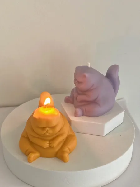 Cat Candle | Weird Candles | Gifts for Him | Funky Candle | Cute Candle | Unique Candle | Cat lover gift | Home Decor Candle | Birthday Gift