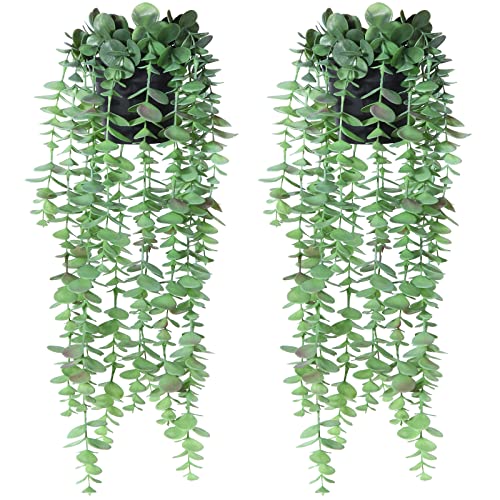 SOGUYI Artificial Hanging Plants, 45cm Small Fake Potted Hanging Eucalyptus Plants with 15 Vines, Faux Hanging Planter Greenery Indoor Outdoor for Shelf Wall Aesthetic Decor(Set of 2) - 2
