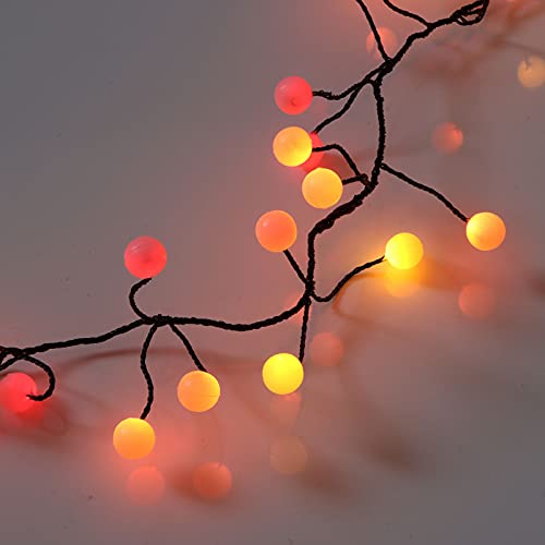 Qbis Premium LED Cluster Lights. Christmas Garland Fairy Lights. Red, Orange and Yellow. These Berry Cluster Lights are Perfect as Halloween Lights (240 LED Berry Sunset (Black Wire)) - 240 LED Plug In