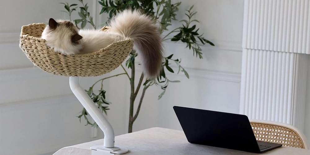 ERGO PURRCH™ Handwoven Desk-Mounted Cat Bed (White) - White