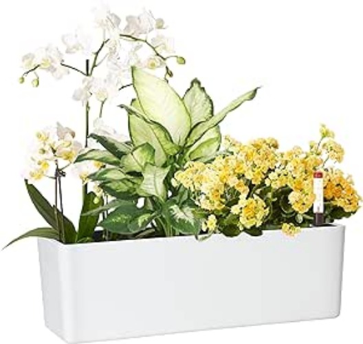 GardenBasix Elongated Self Watering Planter Pots Window Box 5.5 x 16 inch with Coconut Coir Soil Indoor Home Garden Modern Decorative Planter Pot for All House Plants Flowers Herbs 1, White 5.5" x16” - 1 White(16''x 5.5'')