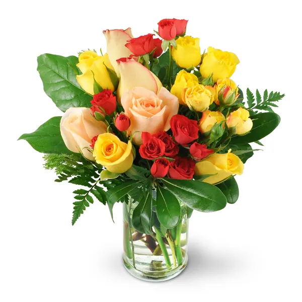 Rose Delight - Standard