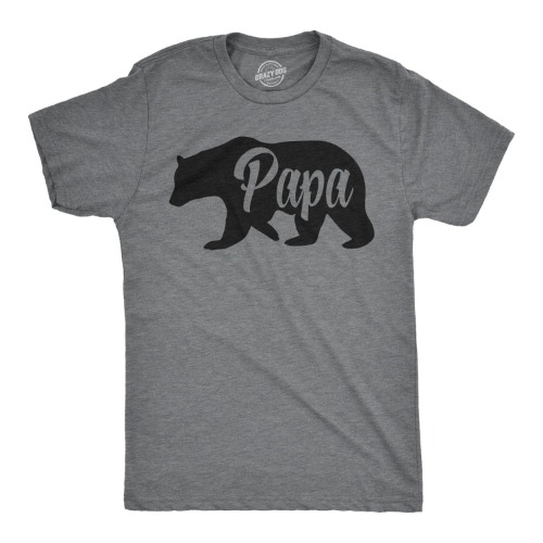 Mens Papa Bear Funny Shirts for Dads Gift Idea Humor Novelty Tees Family T Shirt - XX-Large Dark Heather Grey