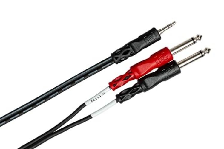 Hosa CMP-153 3.5 mm TRS to Dual 1/4" TS Stereo Breakout Cable, 3 Feet, Laptop - 1-Pack - Cable