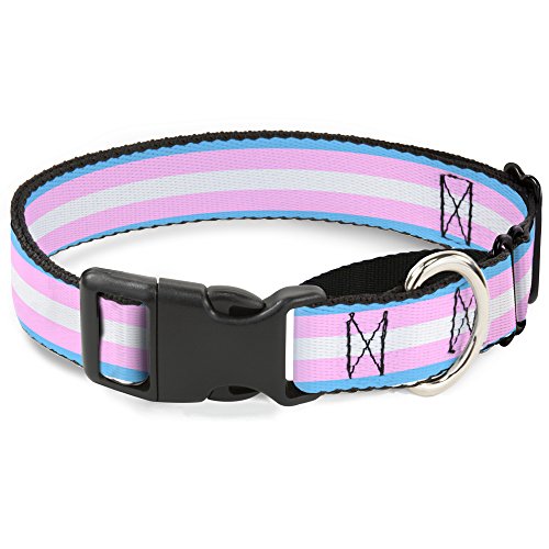 Transgender Pride Dog Collar