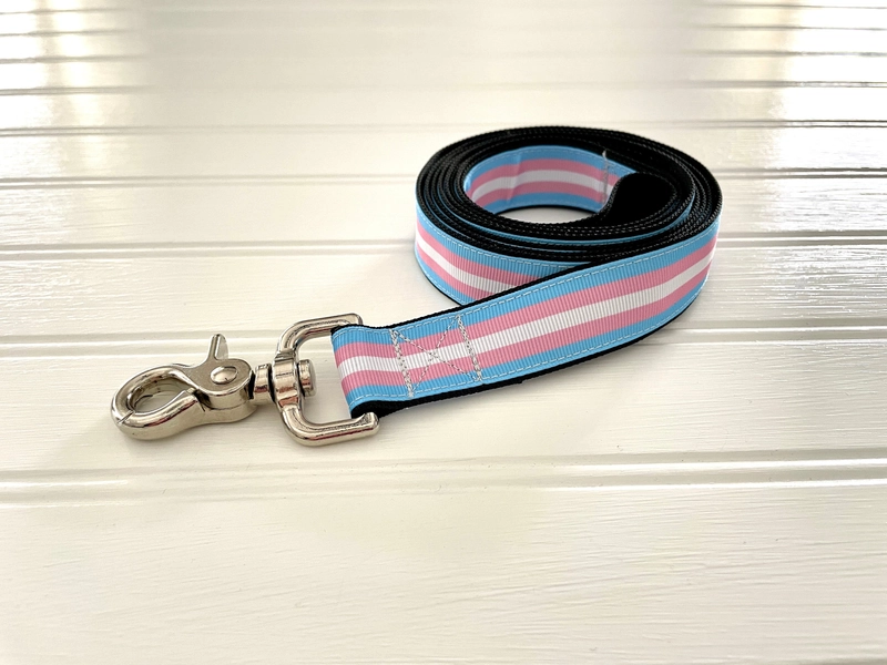 Transgender Pride Dog Leash