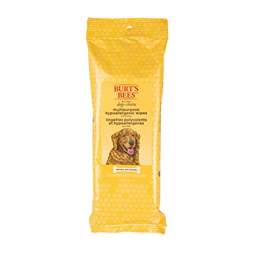 Burt's Bees for Dogs Multipurpose Wipes with Honey, 50 Wipes - 1