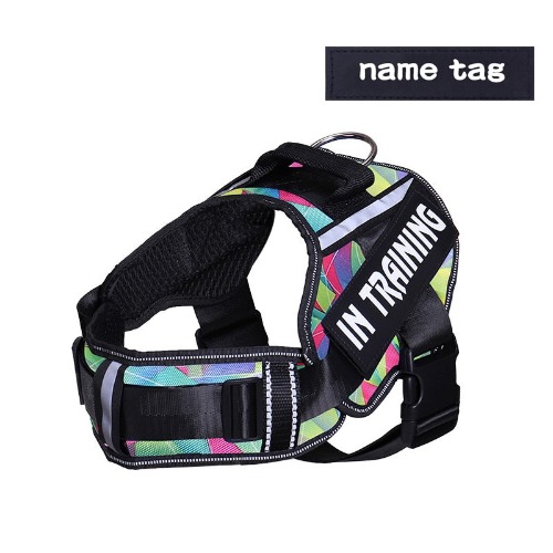 Personalized Adjustable Dog Harness - Multicolor / S - "Hana" on (Nameplate)