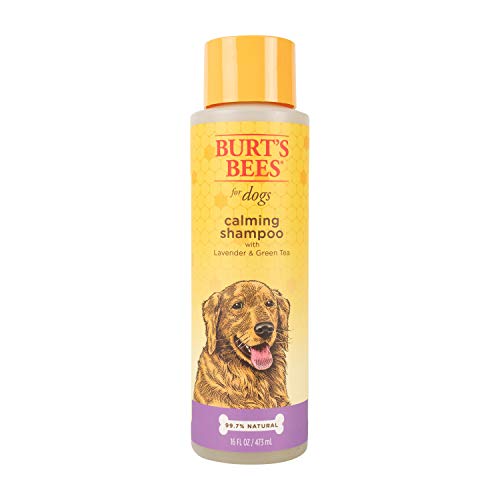 Burt’s Bees for Dogs Calming Shampoo with Lavender and Green Tea, 16 Ounces