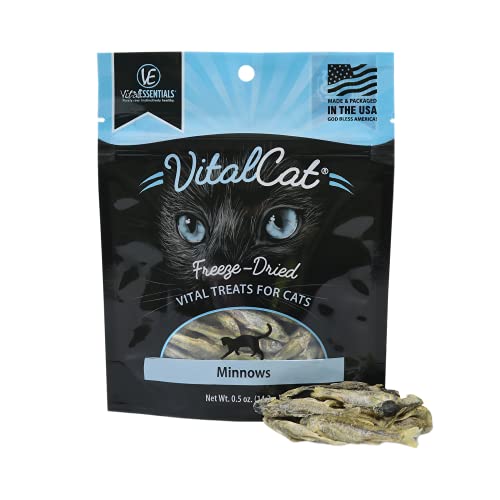 Vital Essentials Freeze Dried Cat Treats, Minnows 0.5 oz - Current Packaging - Minnows