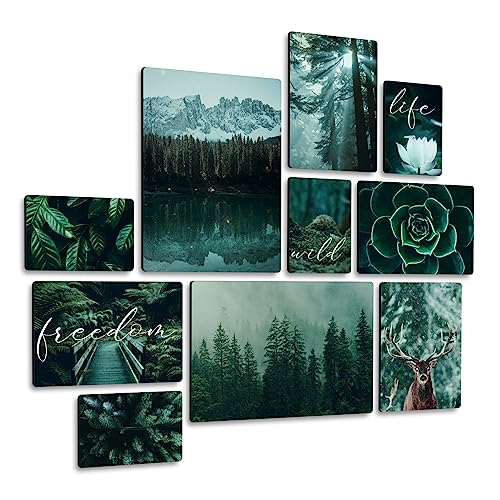 Giallobus - Wild Forest Pictures