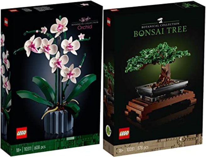 BRICKCOMPLETE Lego 2er Set: 10311 Orchidee & 10281 Bonsai Baum