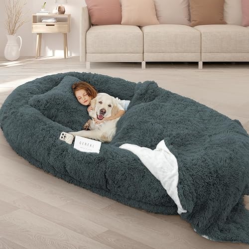 ROOMTEC Human Dog Bed, 71''x45''x12'' Size Fits Adult and Pet Washable Giant People Dog Bed 10 CM Thick Memory Foam Large Oversize Dog Bed with Plump Pillow, Blanket, Strap - Darkgrey - DarkGrey - 71"L x 45"W x 12"H