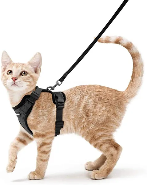 rabbitgoo Cat Harness Escape Proof with Leash Set for Walking, Puppy Kitten Dog Harness No Pull No Choke Design Adjustable Reflective Stripe Vest Harnesses for Small Medium Cats, S Black