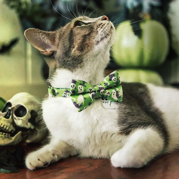 Bow Tie Cat Collar Set - &quot;Ghostly Gathering&quot; - Halloween Ghost Cat Collar w/ Matching Bowtie / Green, Skulls / Cat, Kitten + Small Dog Sizes