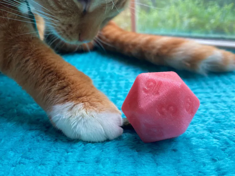 D20 Cat Treat Dispensing Toy