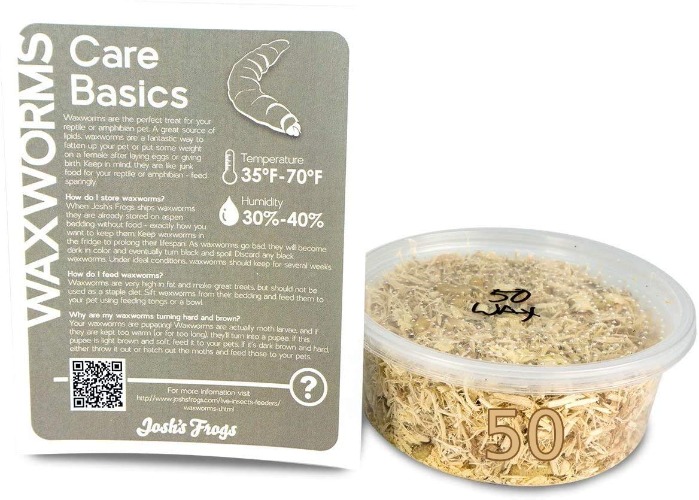 Josh's Frogs Waxworms (50 Count) - 50 Count (Pack of 1)
