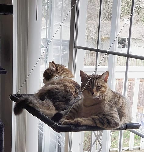 Dracarys Cat Hammock Window Bed Cat Window Perch Sunny Seat, for Kitty Resting Pet Bed Mounted Pet Kitten Cat Beds, Cat Shelves Hold up 40 lbs, Suitable for Window Length ≥30in and Height ≥25in