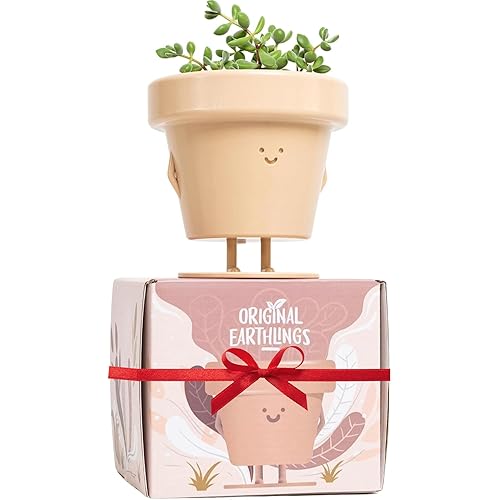 Original Earthlings Standing Pot - 3.5 Inch Cute Plant Pot - Plastic Funny Planter with Drainage - Unique Cactus Plant Lover Gift - Small Succulent Face Flower Pot - Cute Plant Gifts for Plant Lovers - Standing