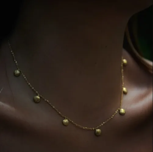 Shell Necklace