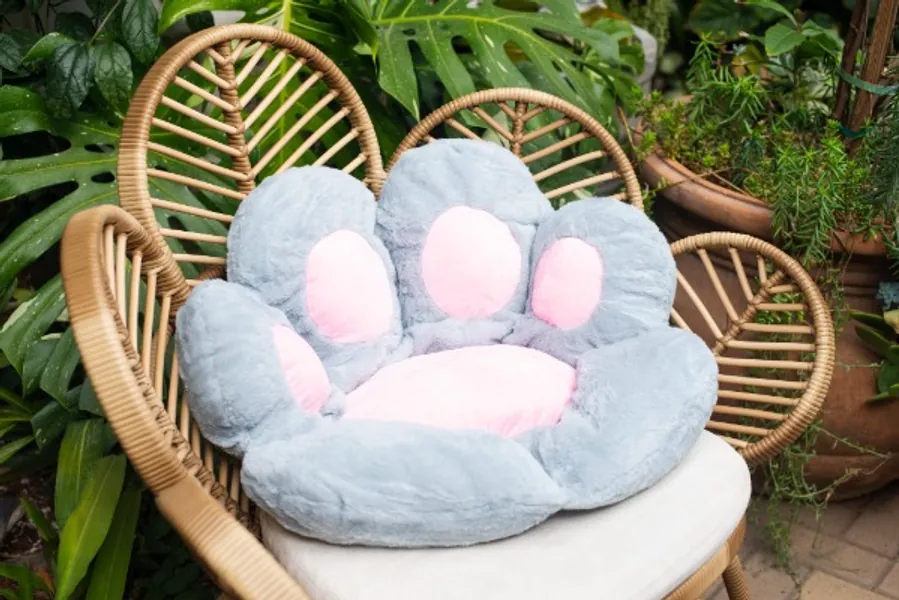 Paw Cushion | Roasting Water