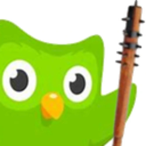 Duolingo Subscription for a year!