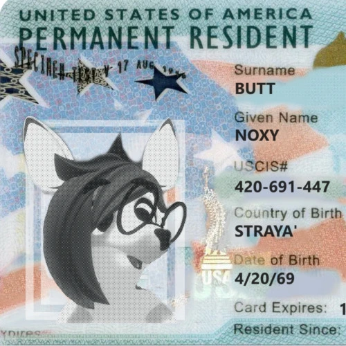 Green Card Application!