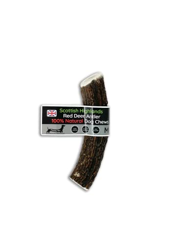 Scottish Deer Antler Dog Chews - Naturally Shed, Long Lasting, 100% Natural… (Deer Antler Chew Medium 90-130g) - Deer Antler Chew Medium 90-130g