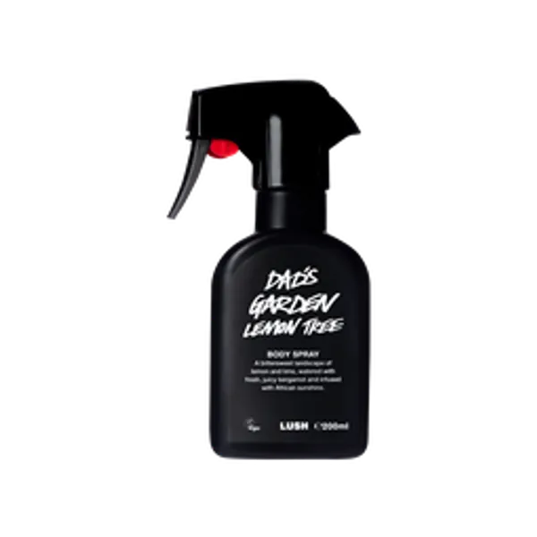 Dad's Garden Lemon Tree 