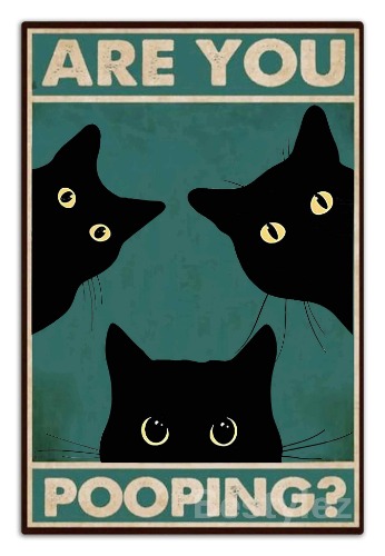 Kitty Biscuits You Need We Knead Cat Tin Sign Vintage Poster For Home Kitchen Wall Decor 8 x 12 Inch (919) - Green