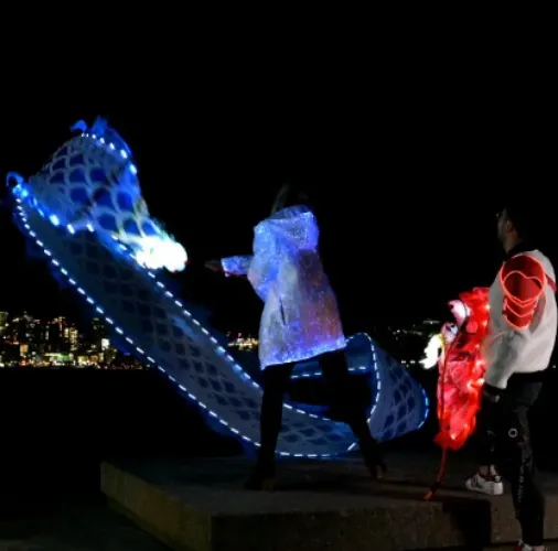 LED Ribbon Fitness Dragon