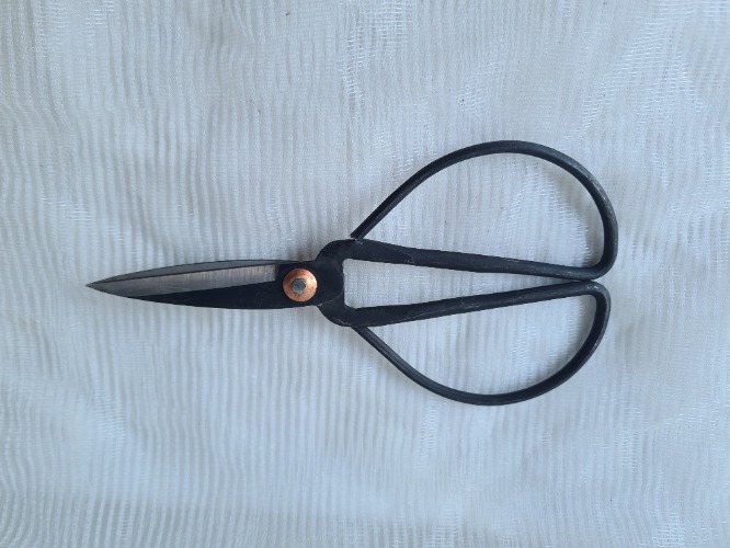 Bonsai Scissors