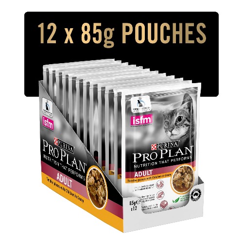 Pro Plan Chicken in Gravy Adult Cat Food 12 Packs 12 Pack Medium