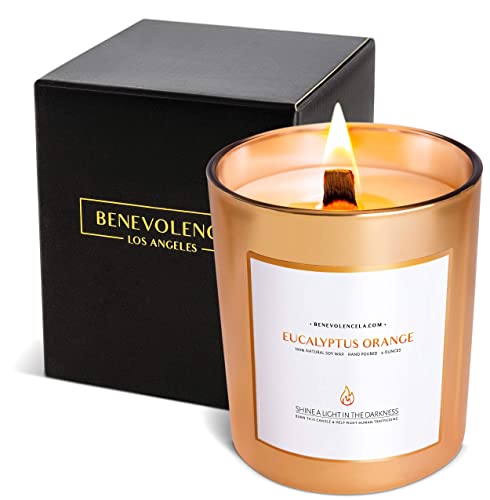 Benevolence LA Eucalyptus & Orange Wood Wick Candles | 8 oz Scented Candles for Home Scented | Natural Soy Candles Gifts for Women | 45 Hour Burn Aromatherapy Candle | Summer Candles - Gold - Eucalyptus & Orange - 8 oz