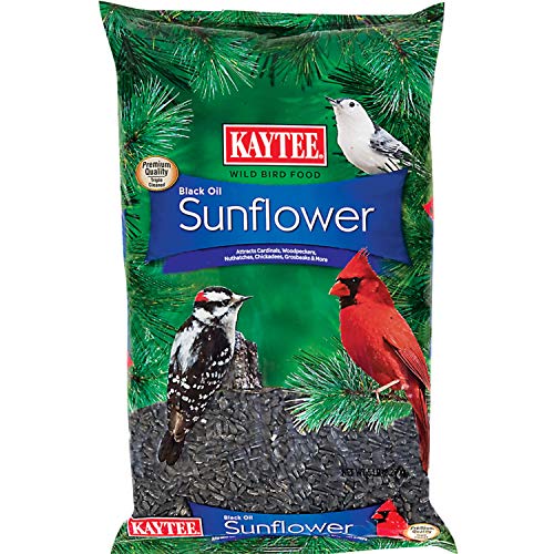 Kaytee Wild Bird Black Oil Sunflower Food, 5 Pounds - 80 Ounce (Pack of 1) - Black Oil Sunflower