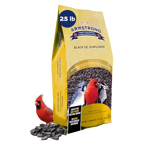 Armstrong Wild Bird Food Black Oil Sunflower Bird Seed, 25 Pounds - for Northern Cardinals, Blue Jays, Hairy Woodpeckers and Goldfinches for Outside Feeders - Pack of 1 - 25 Pound (Pack of 1)