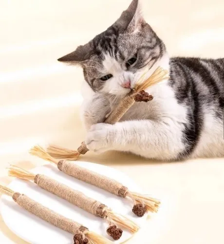 Chewing Stick