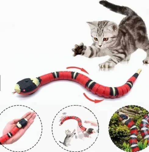Electric Snake Toy