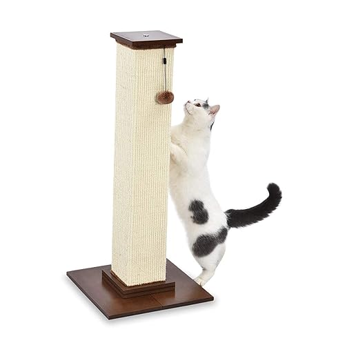 Amazon Basics Large Premium Tall Cat Scratching Post - 16 x 35 x 16 Inches, Wood - Wood - Premium Scratching Post