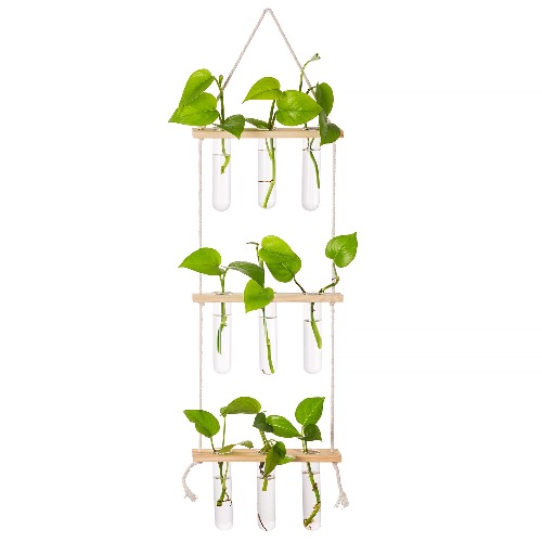 Hängande odlingsstation för växter, väggplanterare inomhus, moderna glasprovrör, vaser för blommor med träställ för vintage rumsdekoration, tillbehör för hemmakontor, 12 provrör
