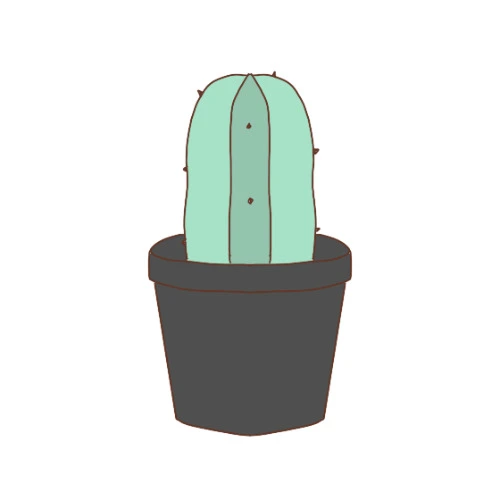a littol cactus
