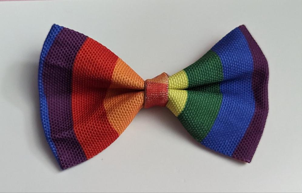 Pride Pet Collar Bowtie