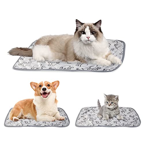 STUFFED 1 Pack 3 Premium Soft Puppy Blankets, Cat Sutff Kitten Supplies(16x24 inches, 3pcs) - Grey - 16x24 inch (Pack of 3)