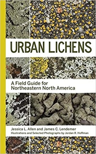 Urban Lichens: A Field Guide for Northeastern North America - Paperback, November 23, 2021