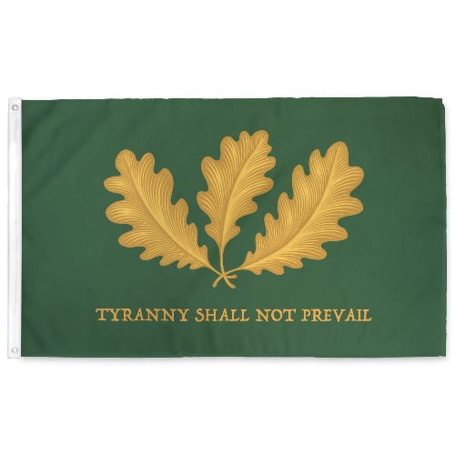 Tyranny Shall Not Prevail Flag