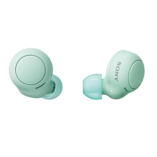 Sony WF-C500 True Wireless Earphones