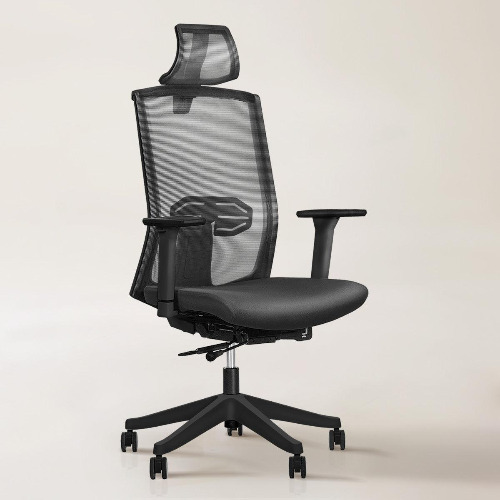 Karma Ergonomic Chair - Black