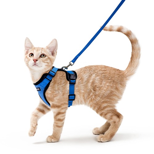 rabbitgoo Katzengeschirr mit Leine Softgeschirr für Katze Brustgeschirr Cat Harness Katzengarnitur ausbruchsicher verstellbar Katzenweste Blau XS - XS (1er Pack) Blau