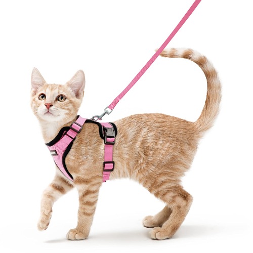 rabbitgoo Katzengeschirr mit Leine Softgeschirr für Katze Brustgeschirr Cat Harness Katzengarnitur ausbruchsicher verstellbar Katzenweste Rosa S - S (1er Pack) Rosa